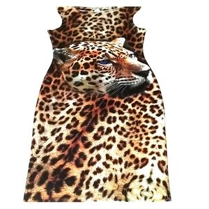 Tiger Print Dress